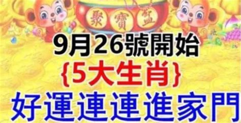 鴿子進家門|【鴿子進家門】鴿子進家門？意想不到的好運即將降臨！ – 最新新聞